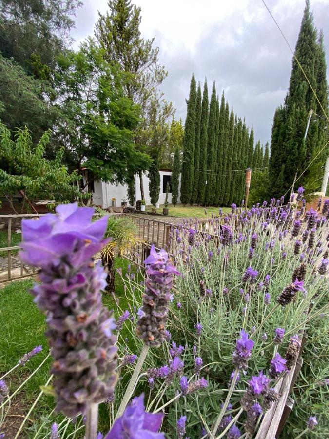 Hotel Boutique Calderon Huasca de Ocampo Eksteriør bilde