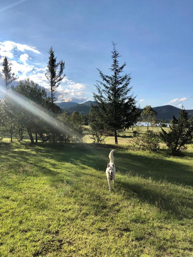 Hotel Boutique Calderon Huasca de Ocampo Eksteriør bilde