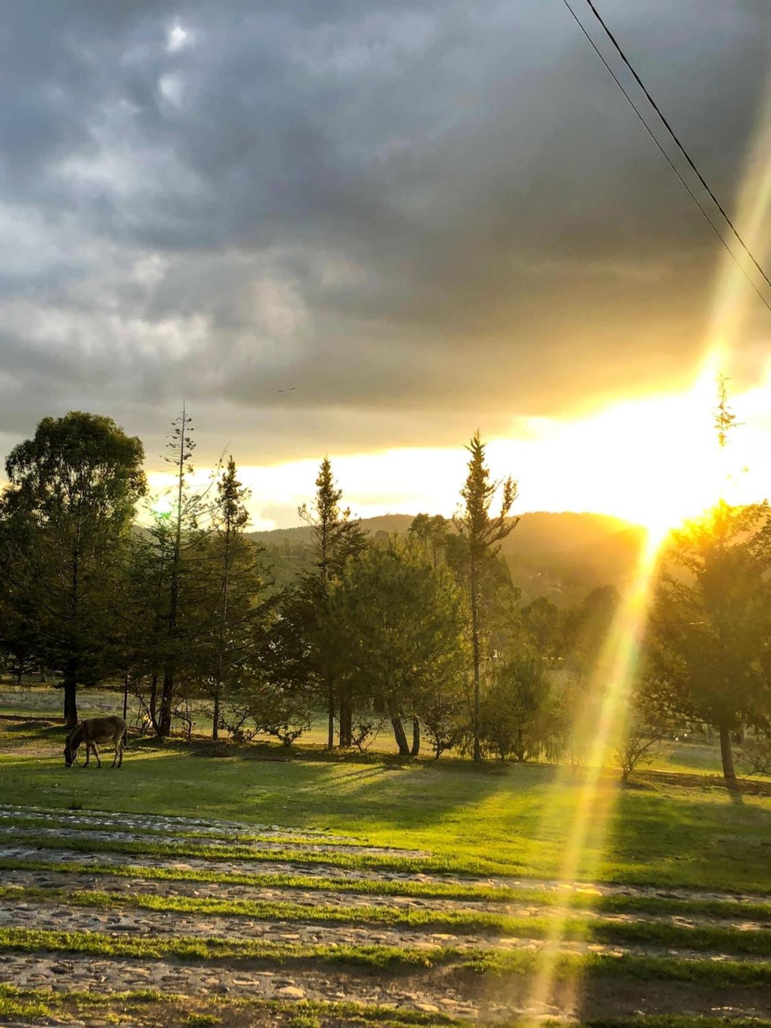 Hotel Boutique Calderon Huasca de Ocampo Eksteriør bilde